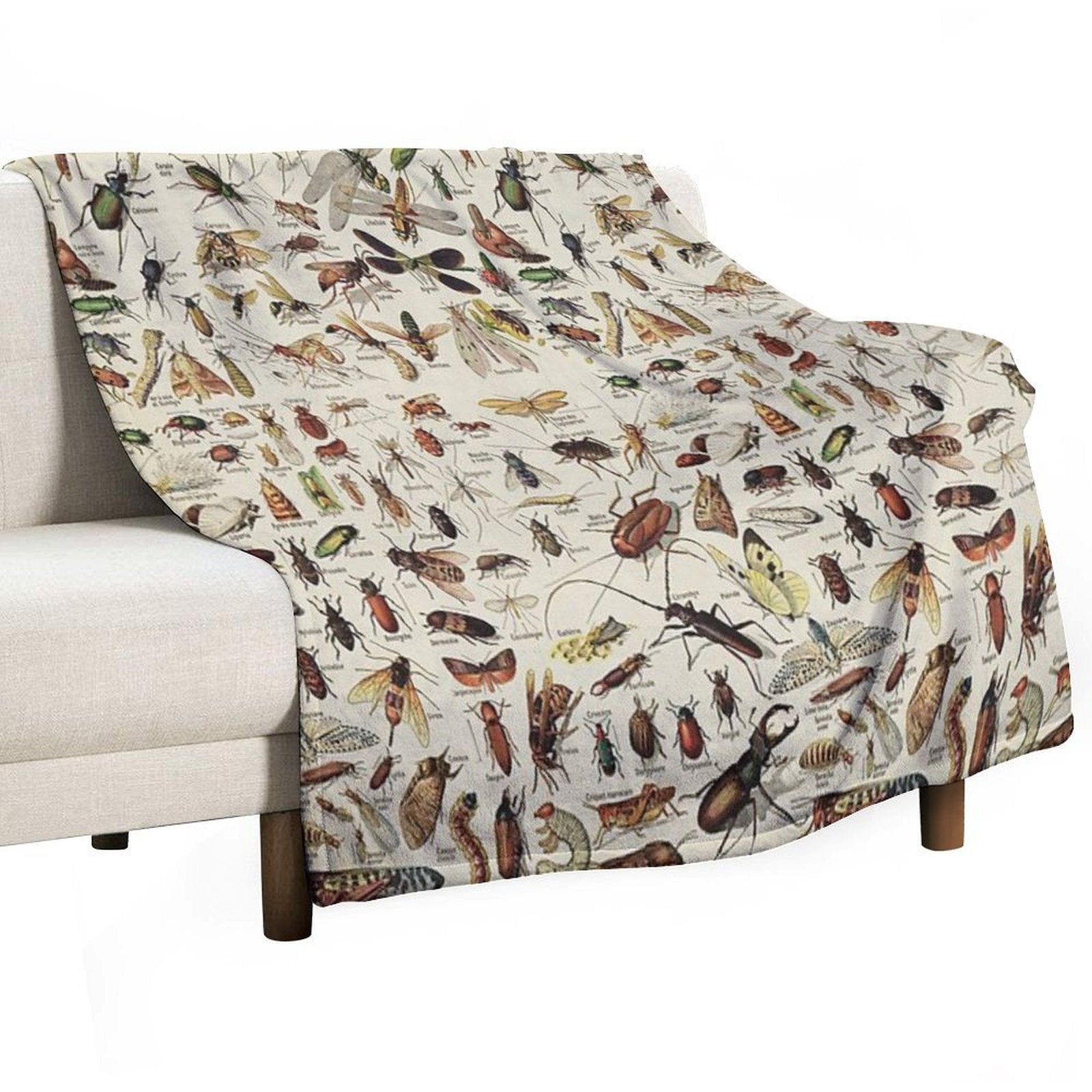 Insects Chart. Scientific Illustration, Text in French Eco-conscious Throw Blanket