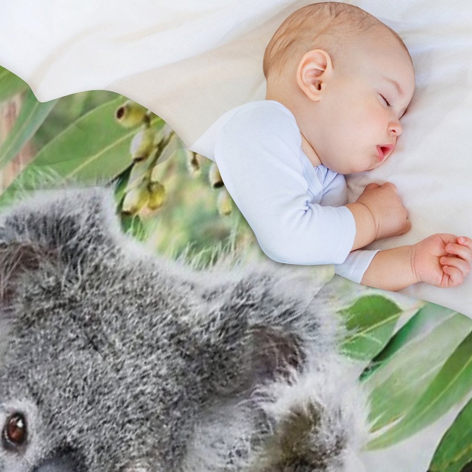 Koala Cuddles Velvety-soft Throw Blanket