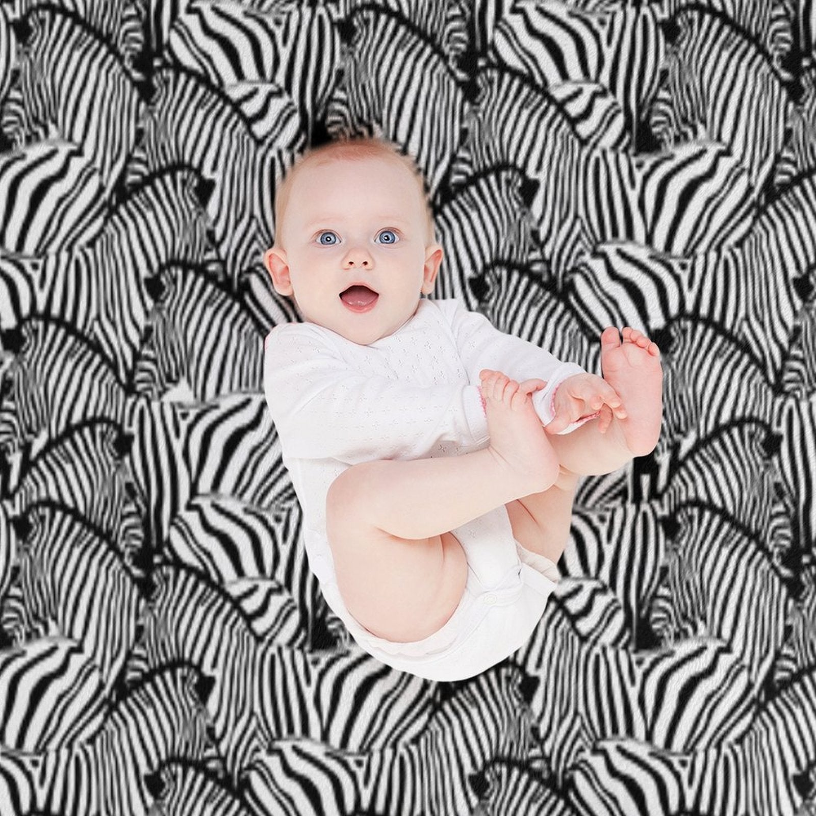Zebra B  W Easy Care Throw Blanket