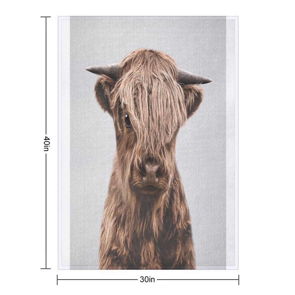 Highland Calf - Colorful Shrink-resistant Throw Blanket