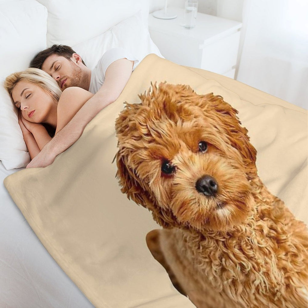 Cavapoo Multi-functional Throw Blanket