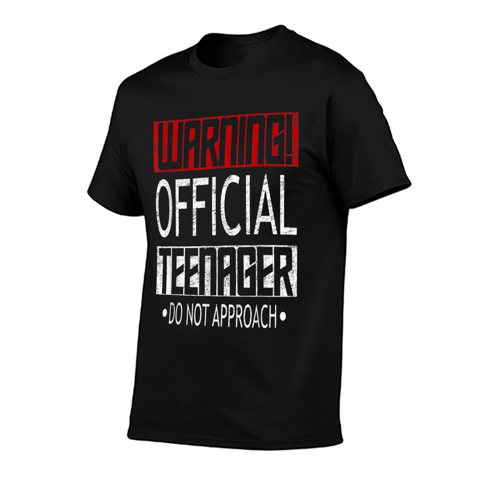 Warning Officialnager 13 Thirteen Year Old Birthday  Graphic-printed T-Shirt