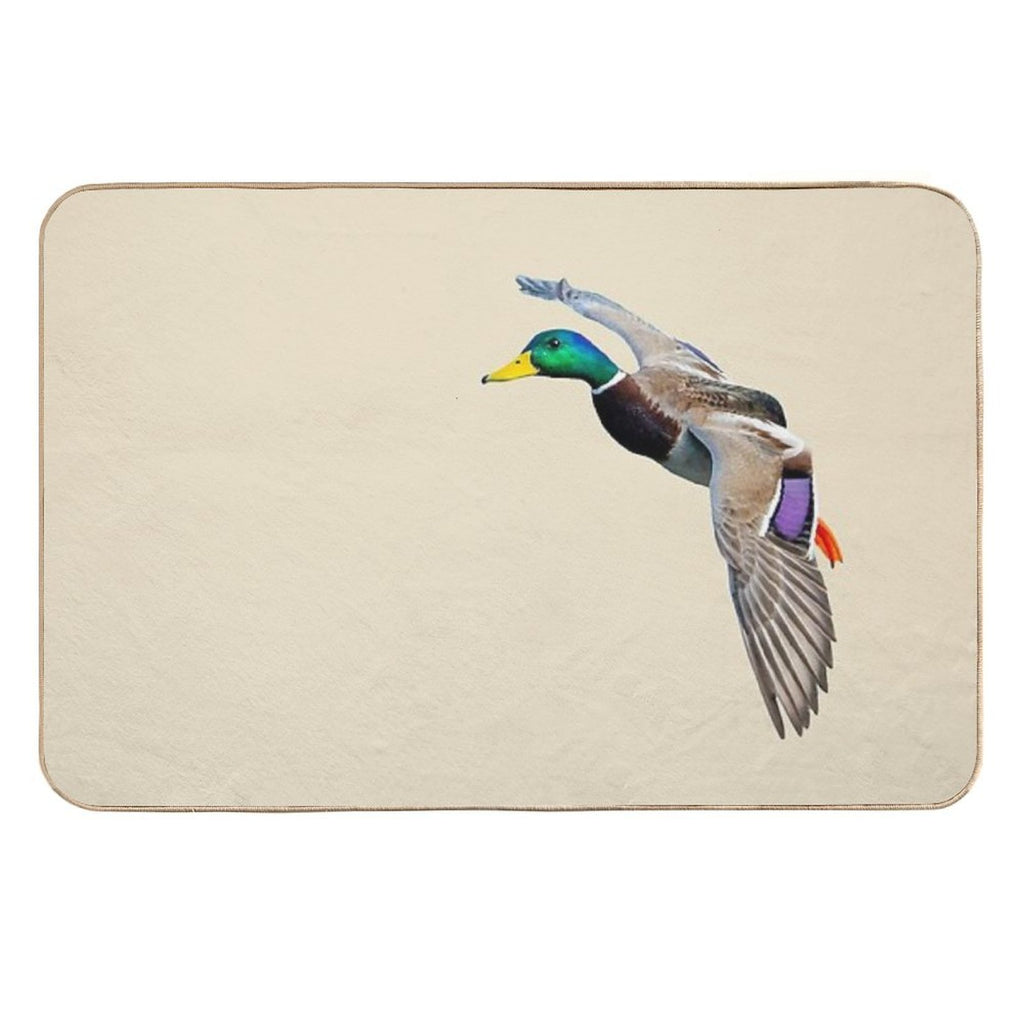 Coming Into Land  Stain-Proof Bath Mat