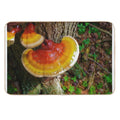 Wild Orange Mushroom in The Forest Nature Tree Print  Versatile Bath Mat