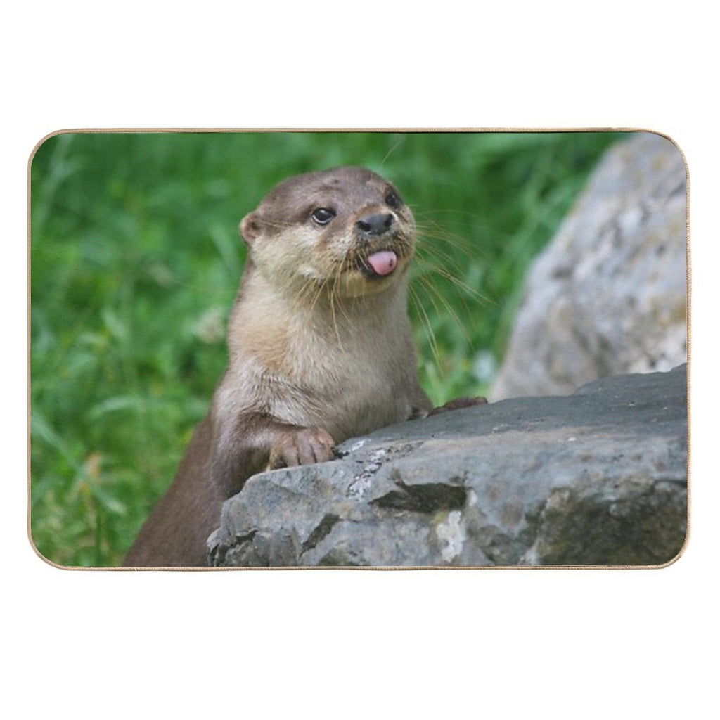 Cheeky Otter  Stain-Proof Bath Mat