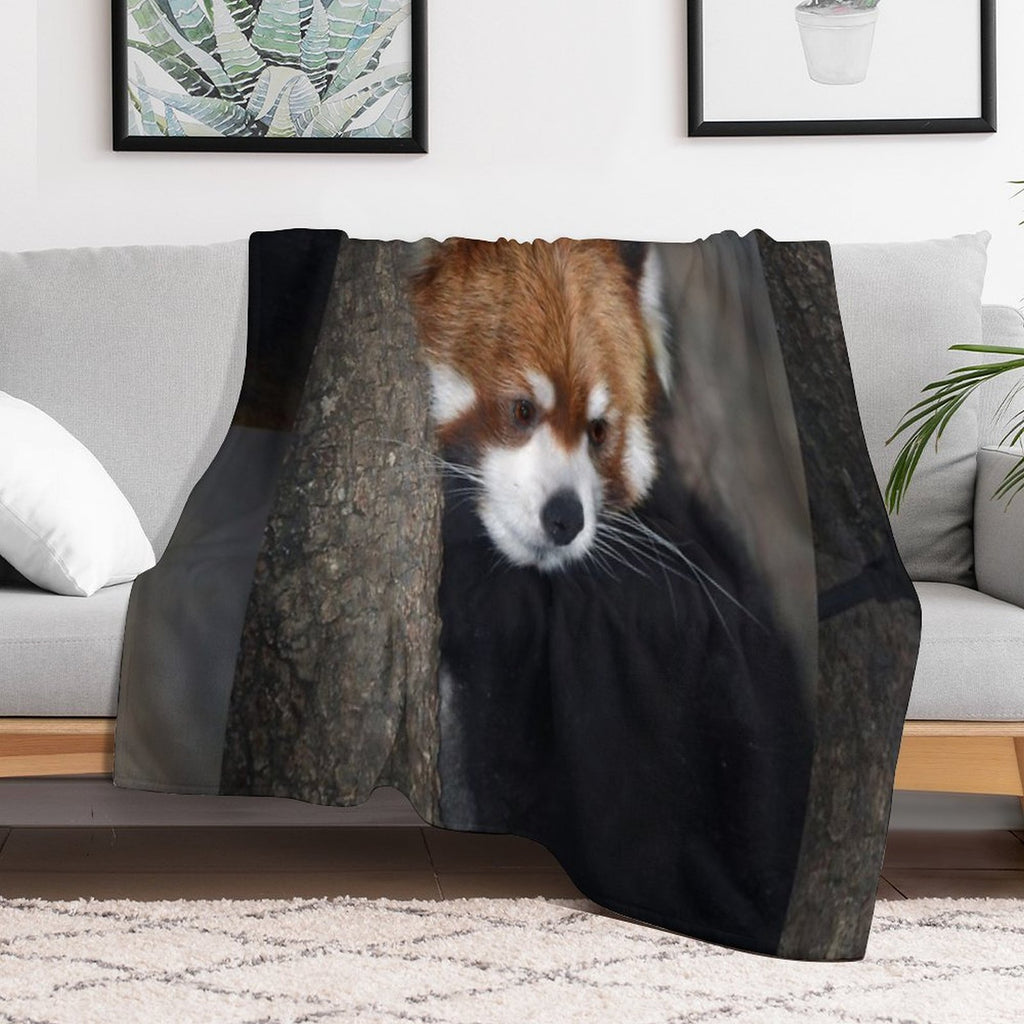 Red Panda Comfort Throw Blanket