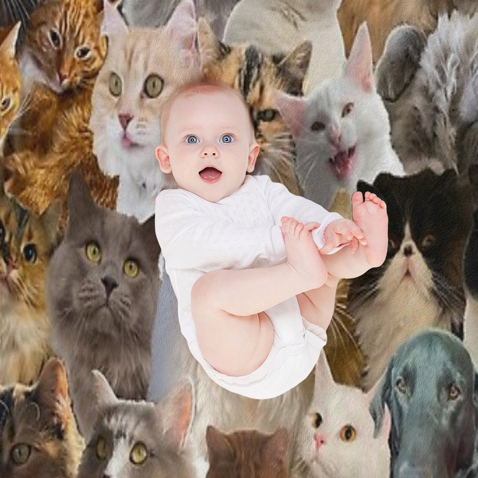 Cuteness Overload Wrinkle-free Throw Blanket