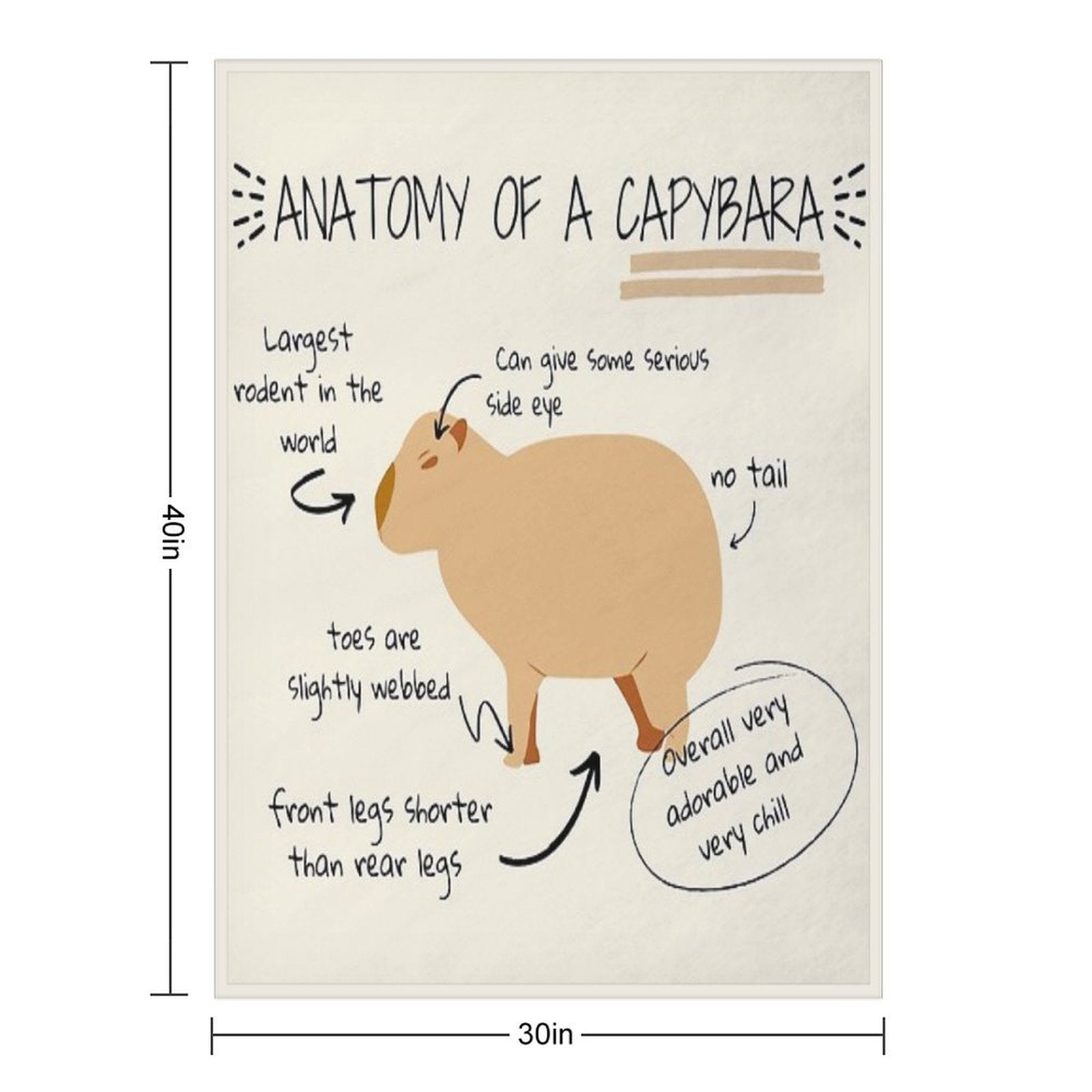 Anatomy of A Capybara Durable Throw Blanket