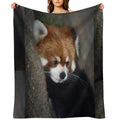 Red Panda Comfort Throw Blanket