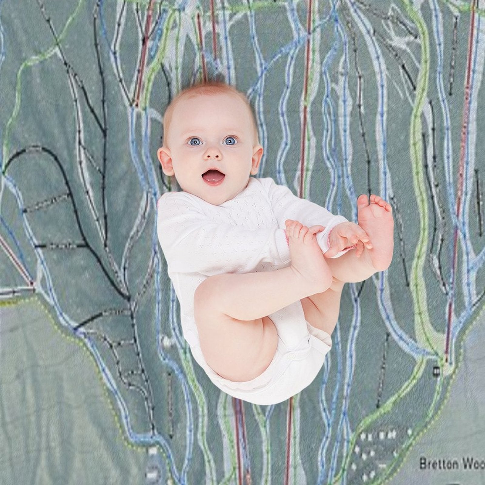 Bretton Woods Resort Trail Map Anti-pilling Throw Blanket