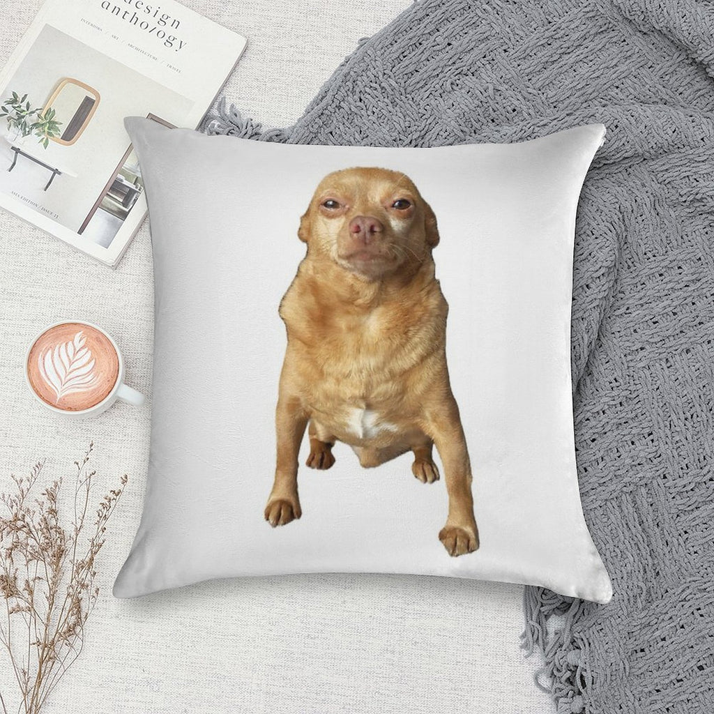 Mighty Mouse Soft Decorative Cover Throw Pillow