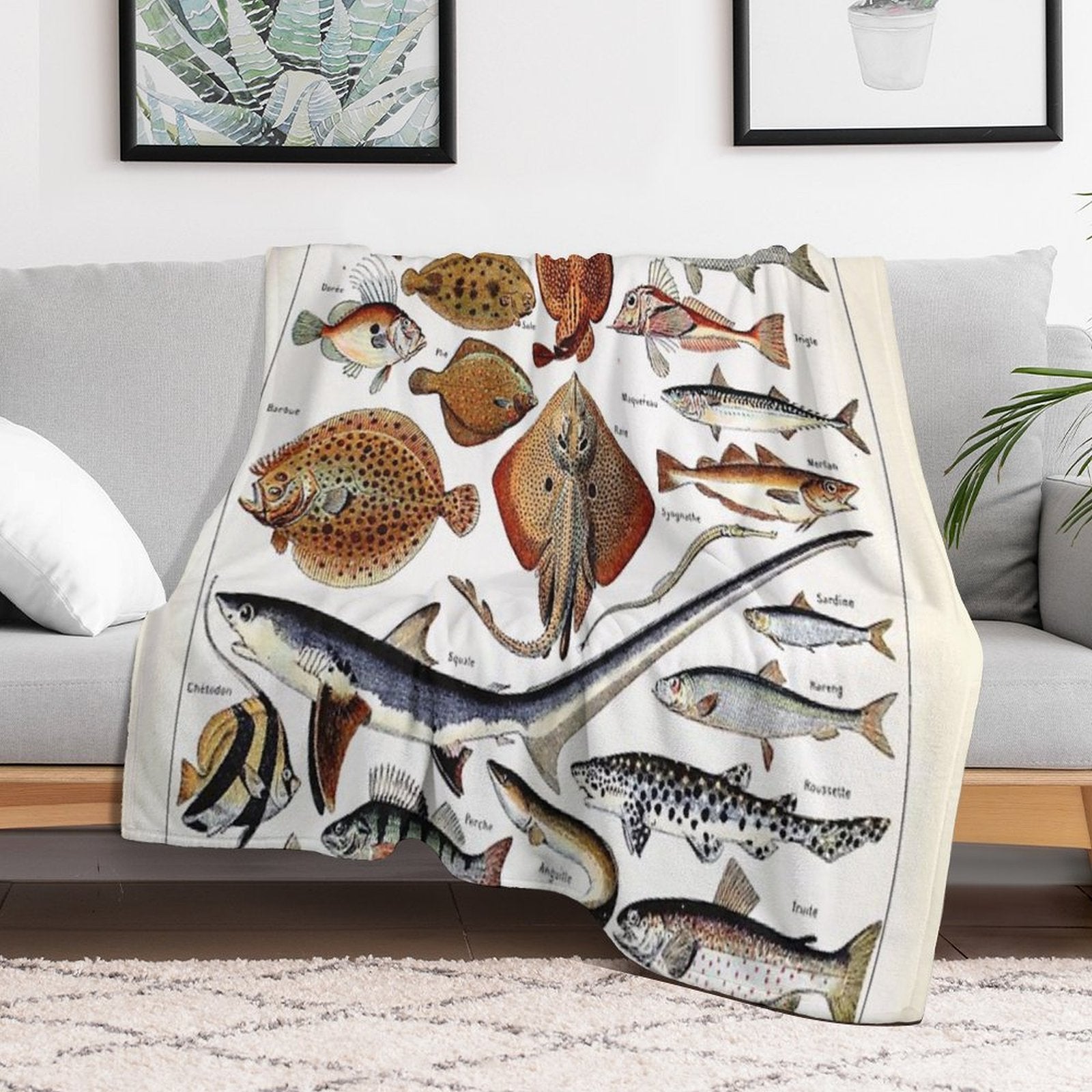 Adolphe Millot - Poissons B - French Vintage Nautical Poster Compact Throw Blanket