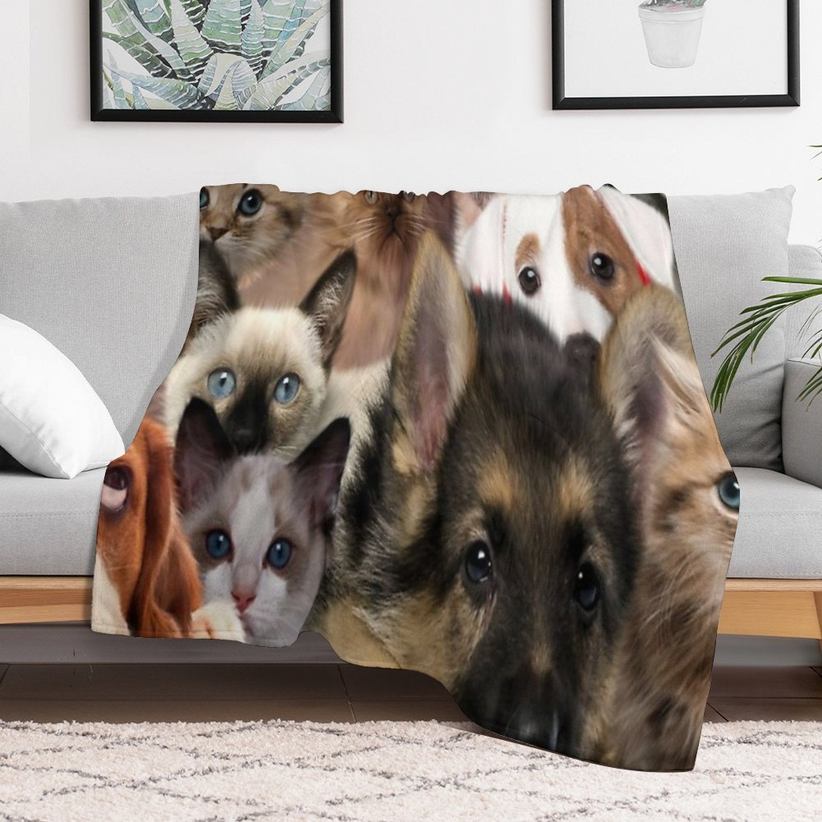 Groups of Cats And Dogs Comfort Throw Blanket