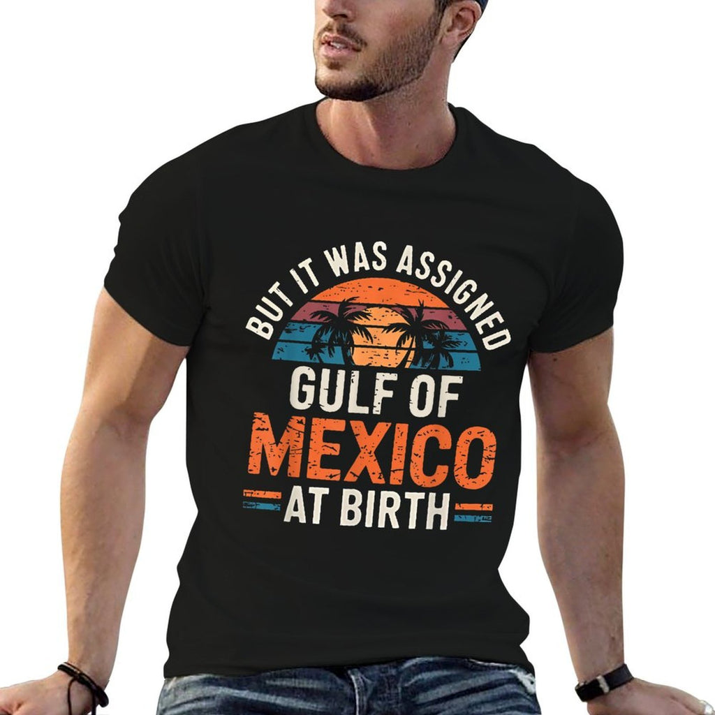 But It Was Assigned Gulf of Mexico at Birth Retro Beach  Oversized Silhouette T-Shirt