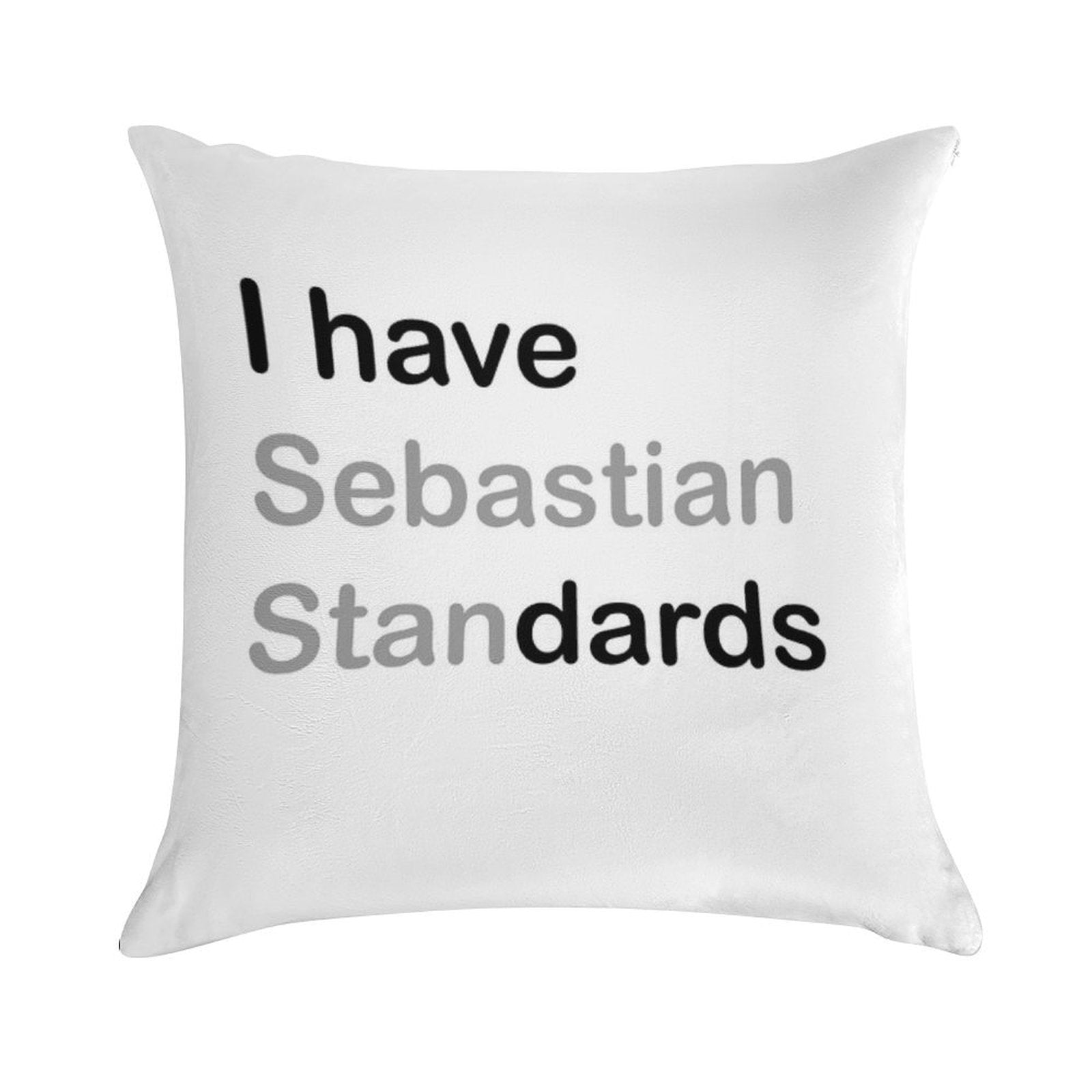 I HAVE (sebastian) STANDARDS Soft Reinforced Edging Throw Pillow