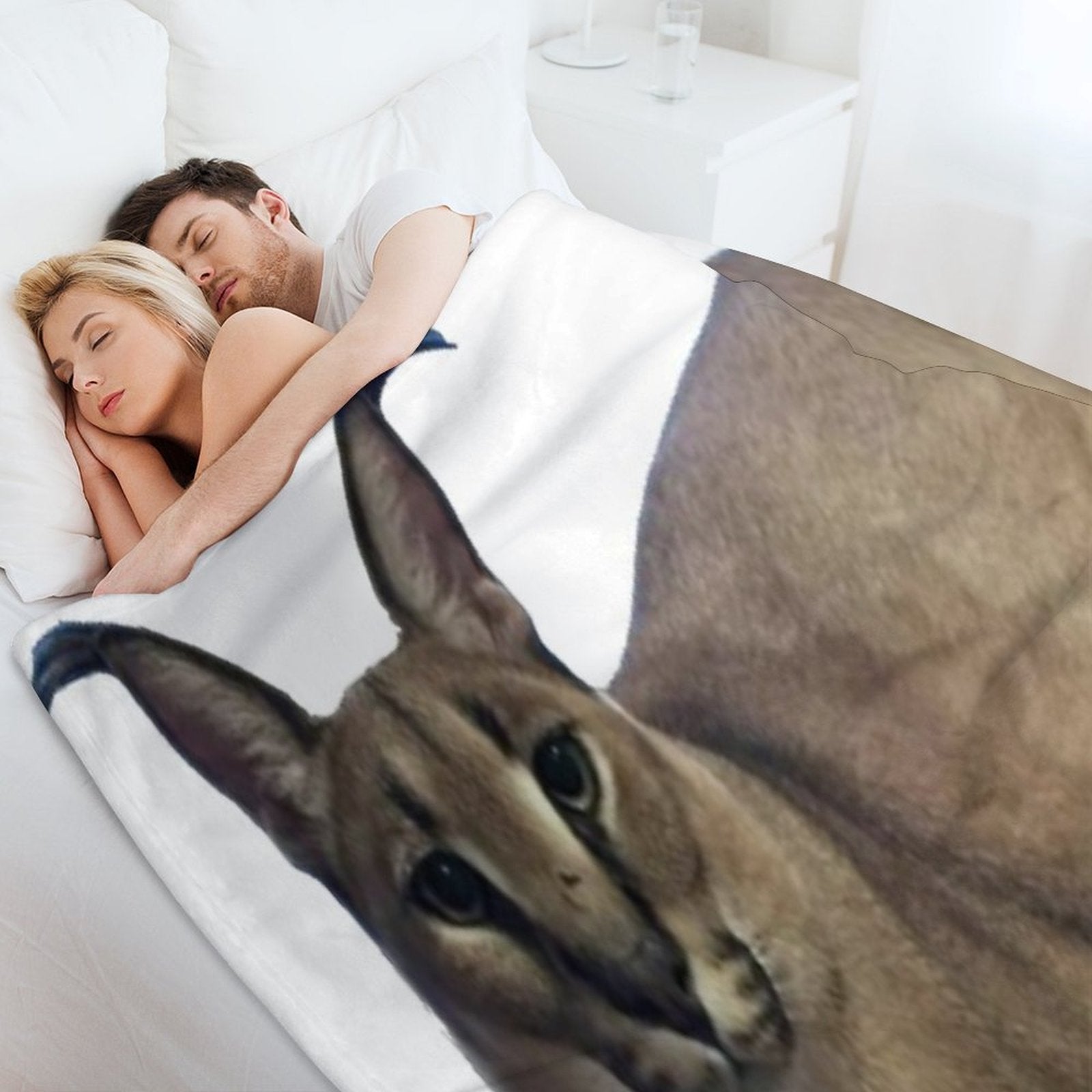 Big Floppa Shrink-resistant Throw Blanket