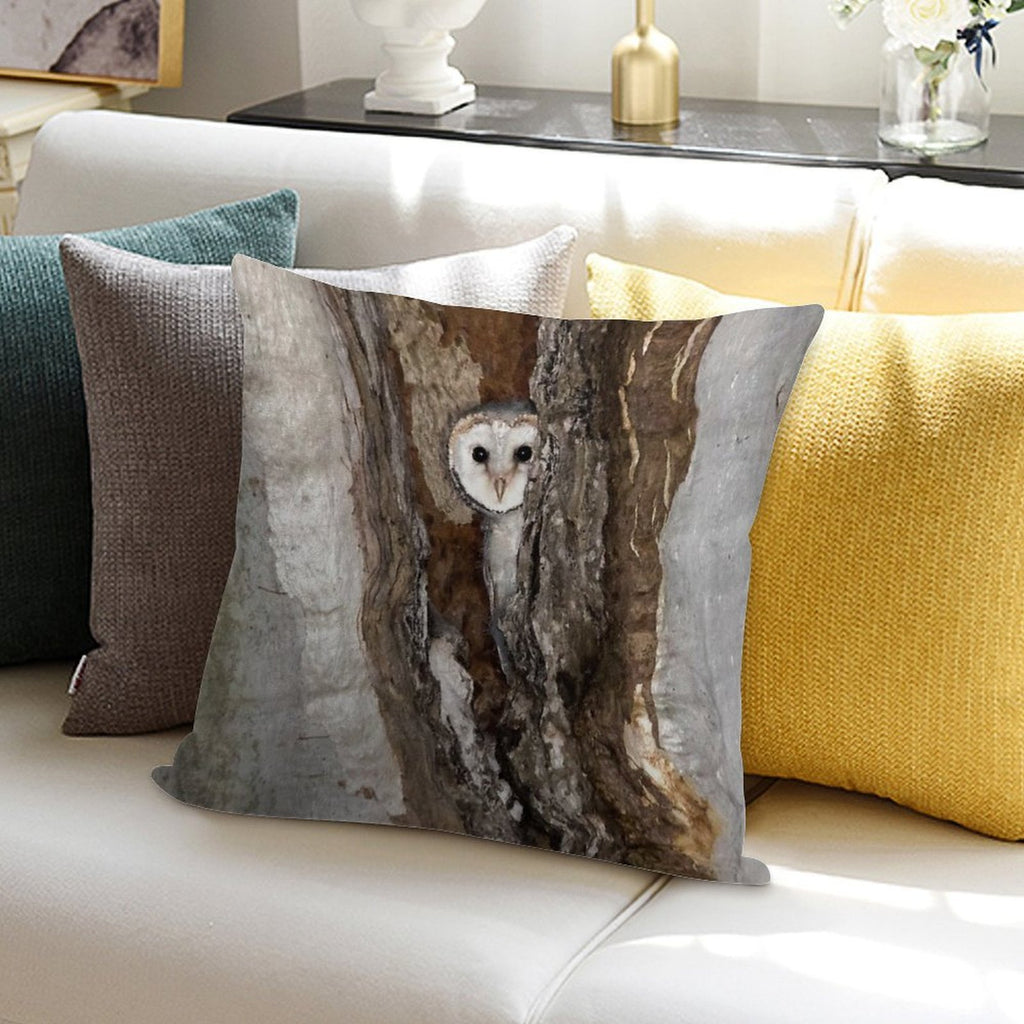 Barn Owl Peekaboo Soft Hidden Zipper Throw Pillow