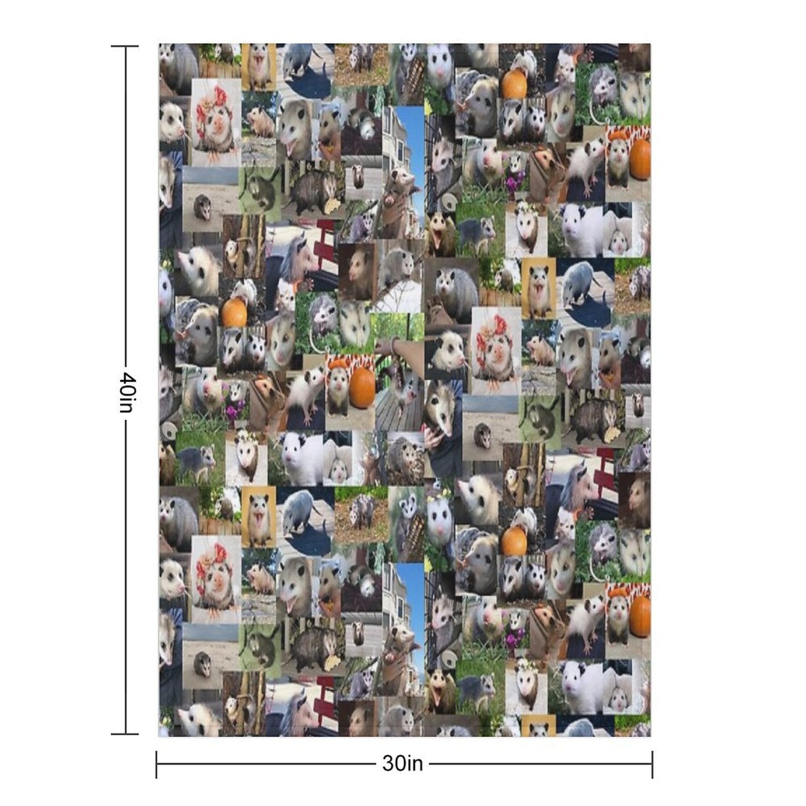 Ultimate Opossums (4K) Shrink-resistant Throw Blanket