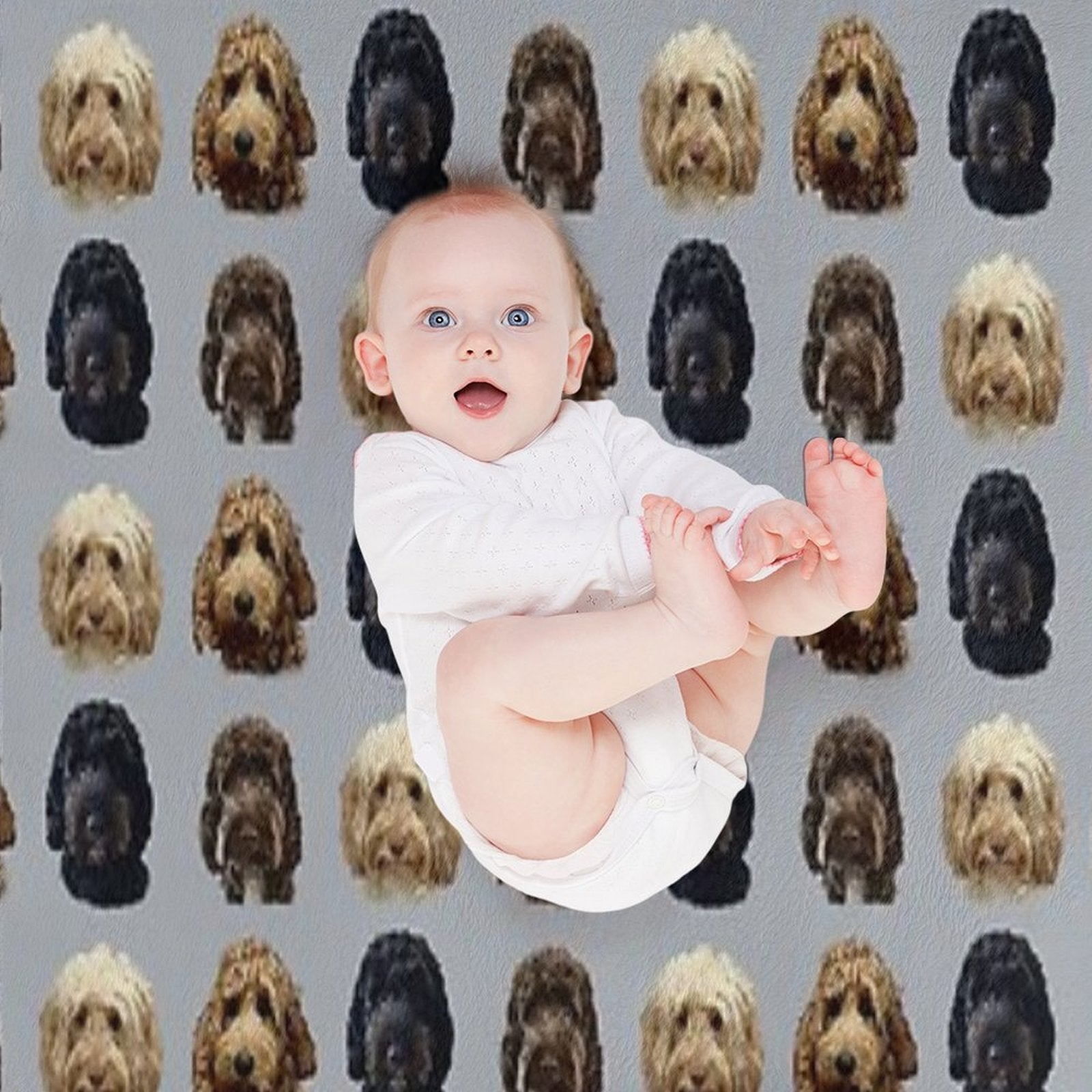 Cockapoo Dog Collection Eco-conscious Throw Blanket
