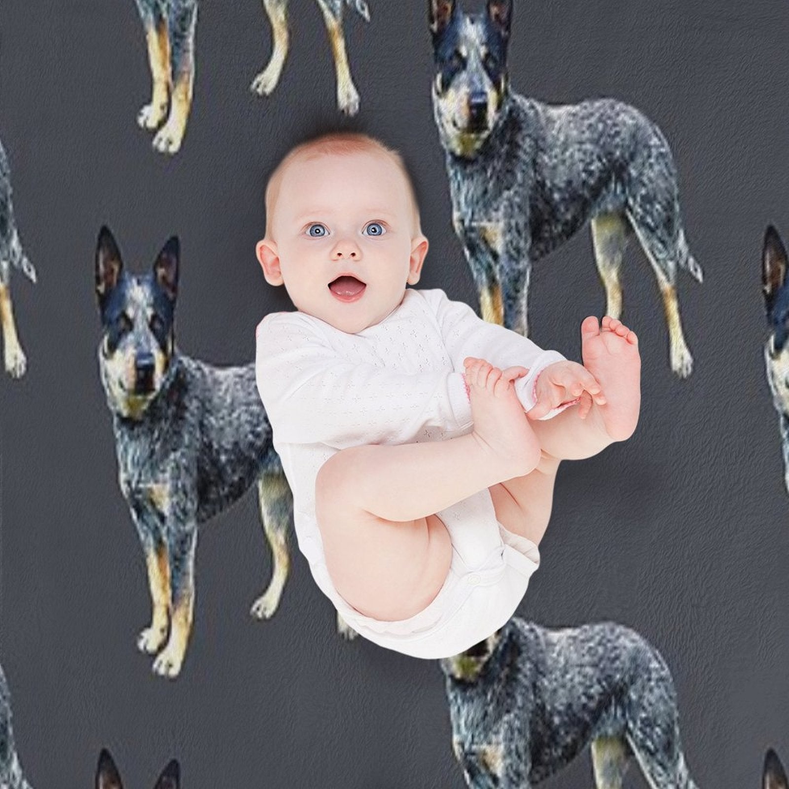 Blue Heeler Australian Cattle Dog Comfort Throw Blanket