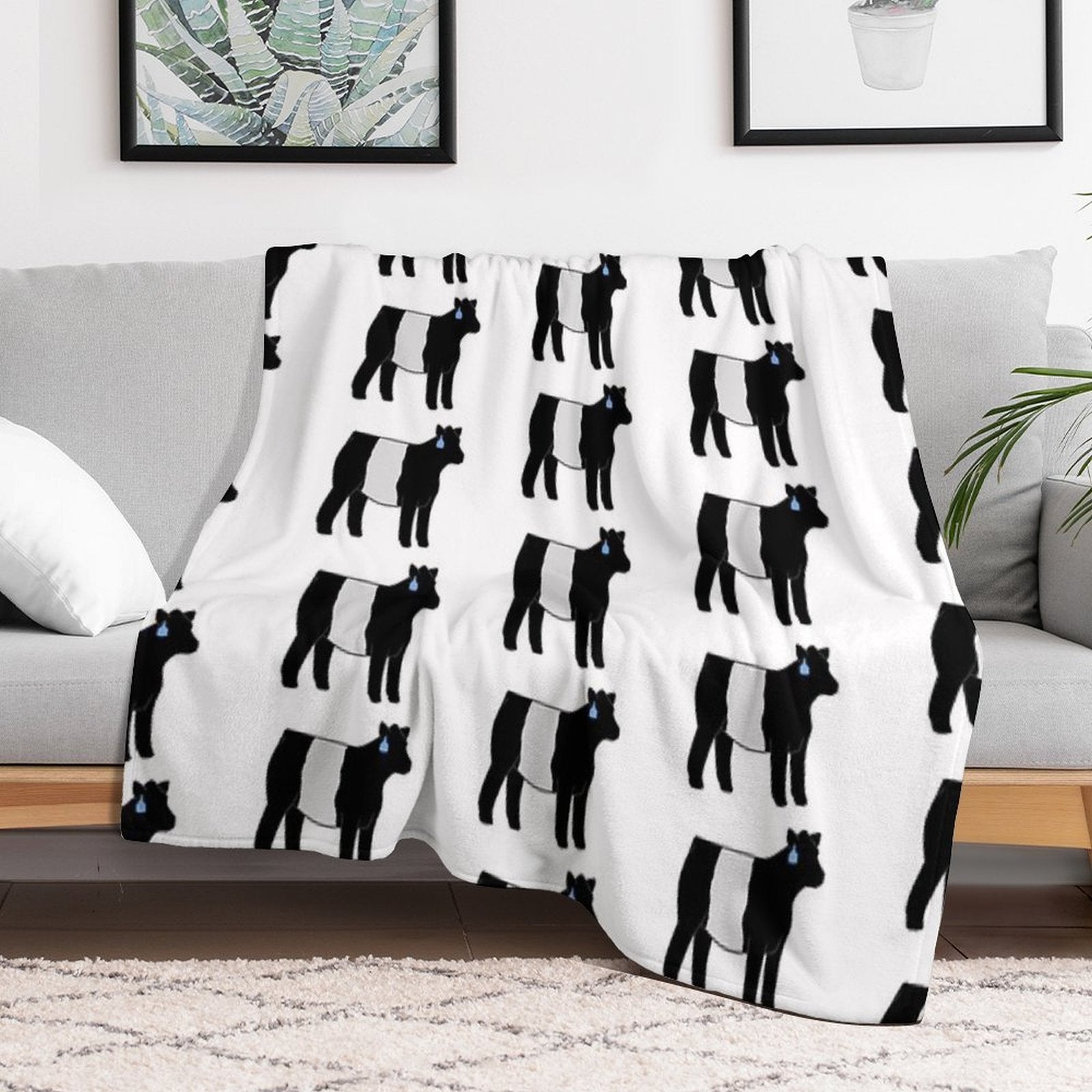 Belted Galloway Heifer Wrinkle-free Throw Blanket