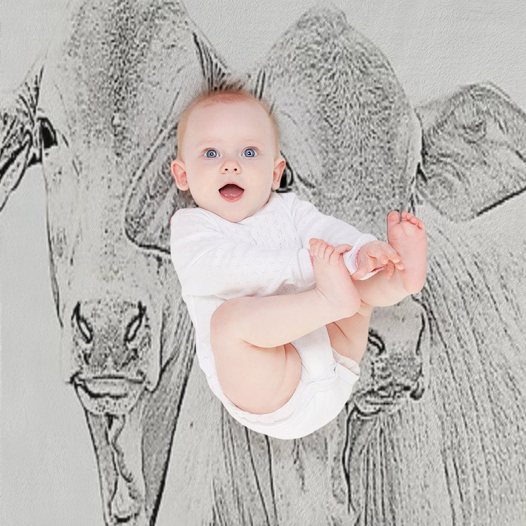BRAHMAN CALVES, WALL ART Compact Throw Blanket