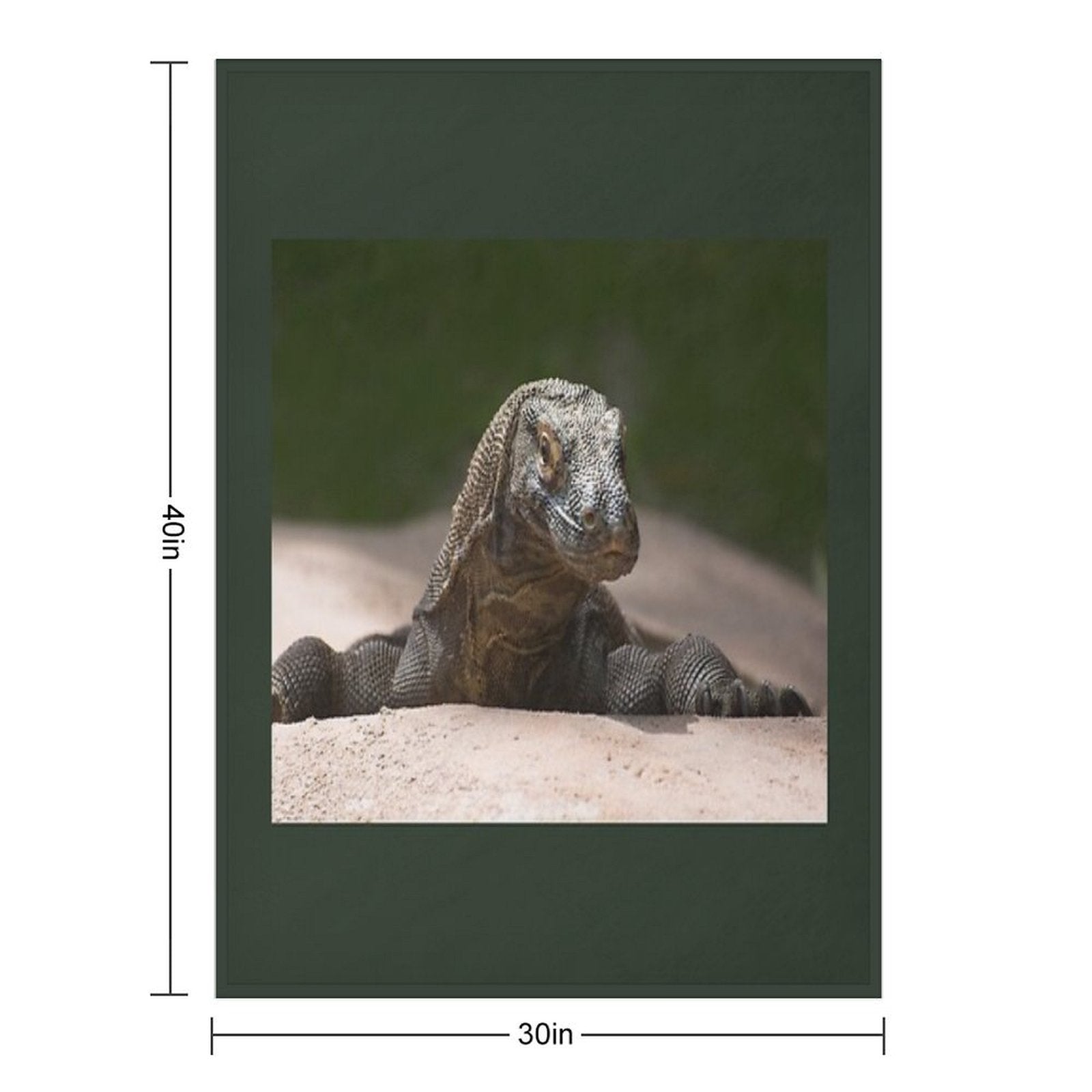 Komodo Monitor Dragon Velvety-soft Throw Blanket