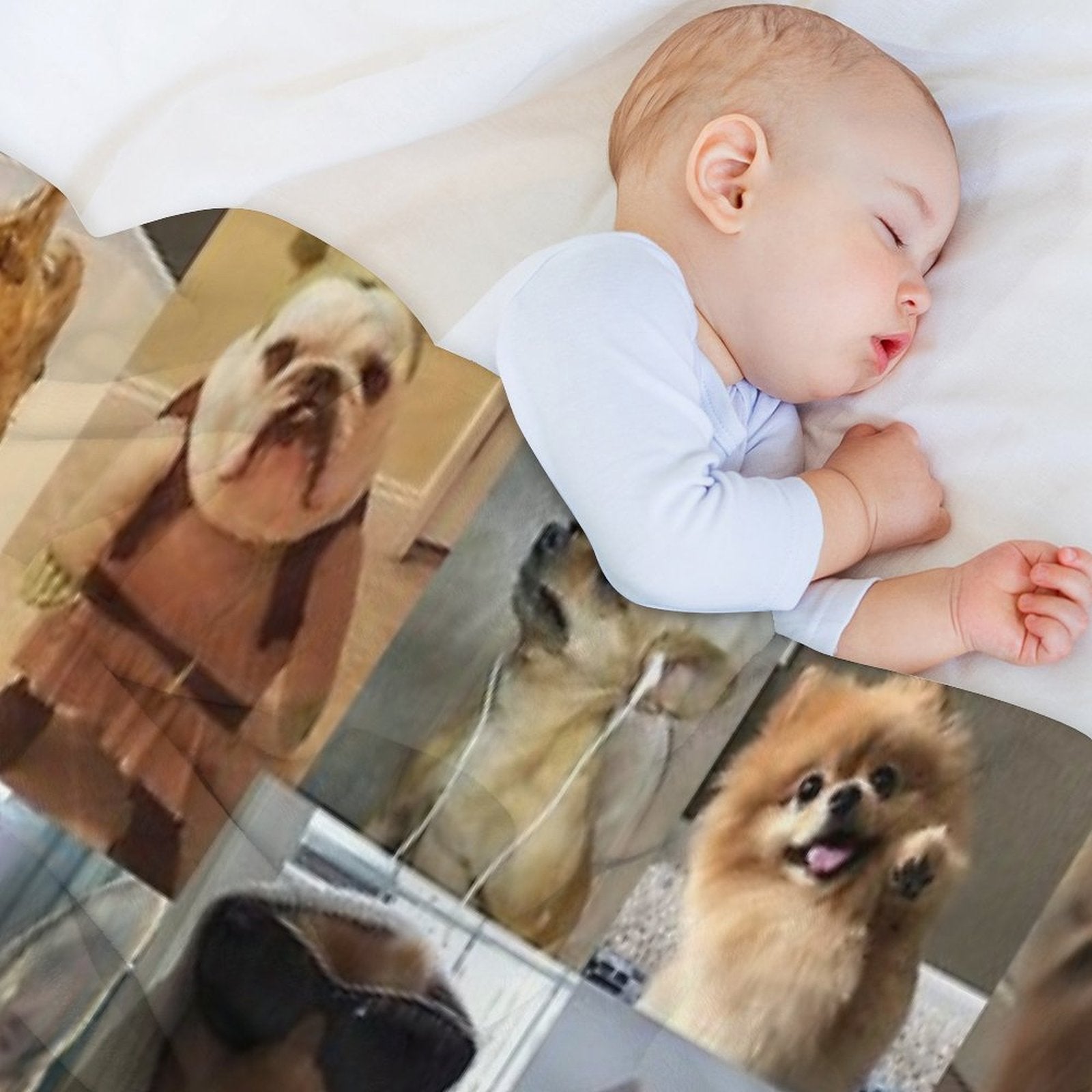 Dogs Aesthetic Collage Anti-pilling Throw Blanket