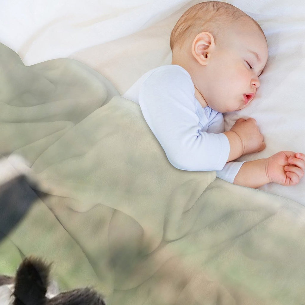 Belted Galloway Cows Quick-dry Throw Blanket