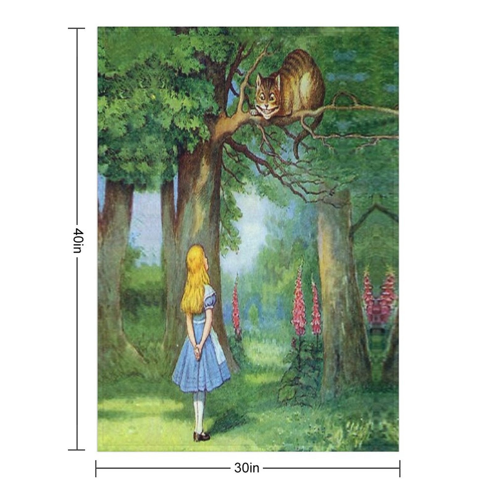 Cheshire Cat Quick-dry Throw Blanket