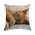 Ginger Cat Sleeping Soft Fade-Resistant Throw Pillow