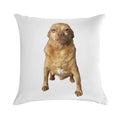 Mighty Mouse Soft Decorative Cover Throw Pillow