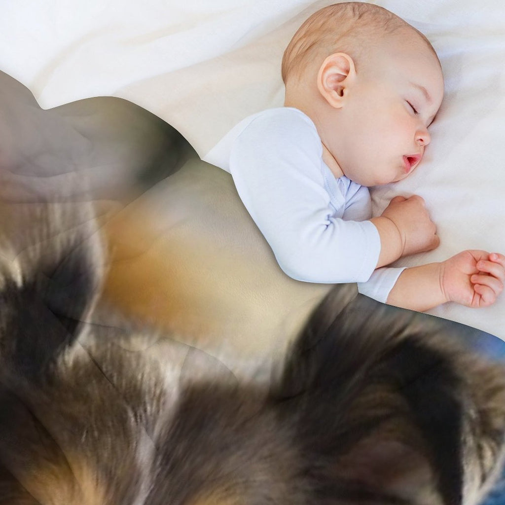 Sheltie Eco-conscious Throw Blanket