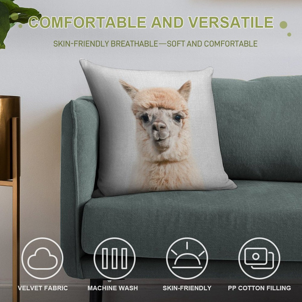 Alpaca - Colorful Soft Gift Ready Throw Pillow