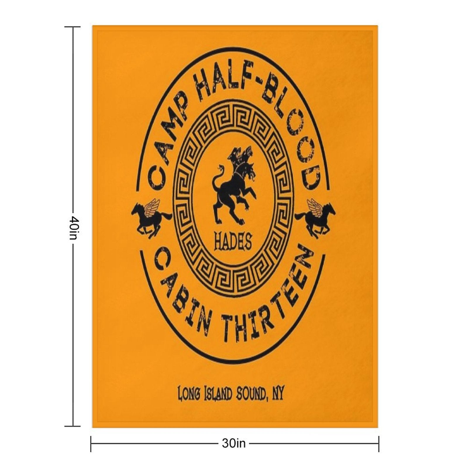 Cabin Thirteen - Hades - Percy Jackson - Camp Half-Blood Shrink-resistant Throw Blanket