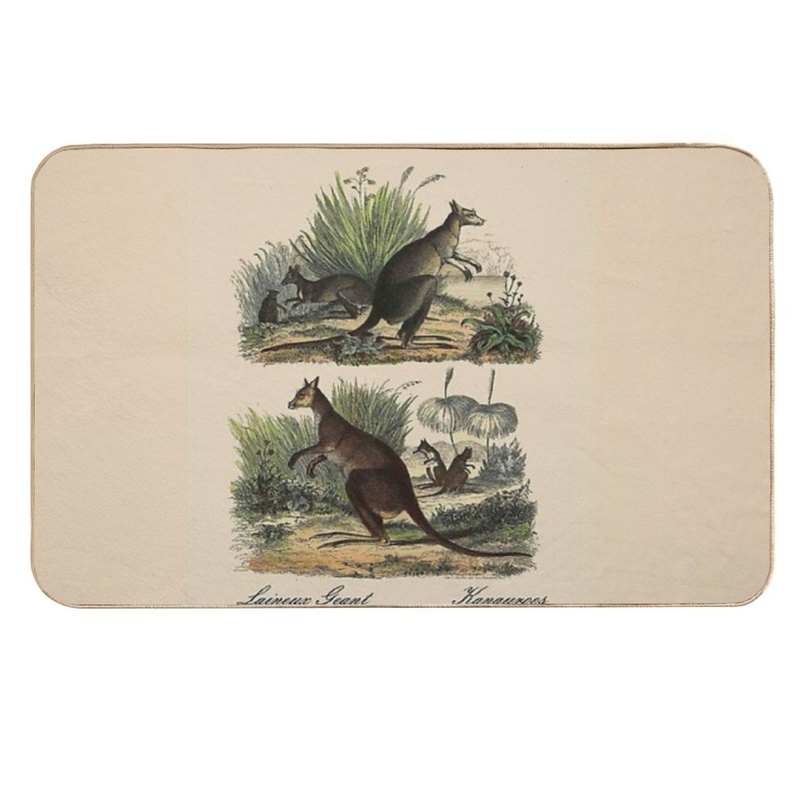 KANGAROO  Vintage 1854 Comte Print  Easy Maintenance Bath Mat