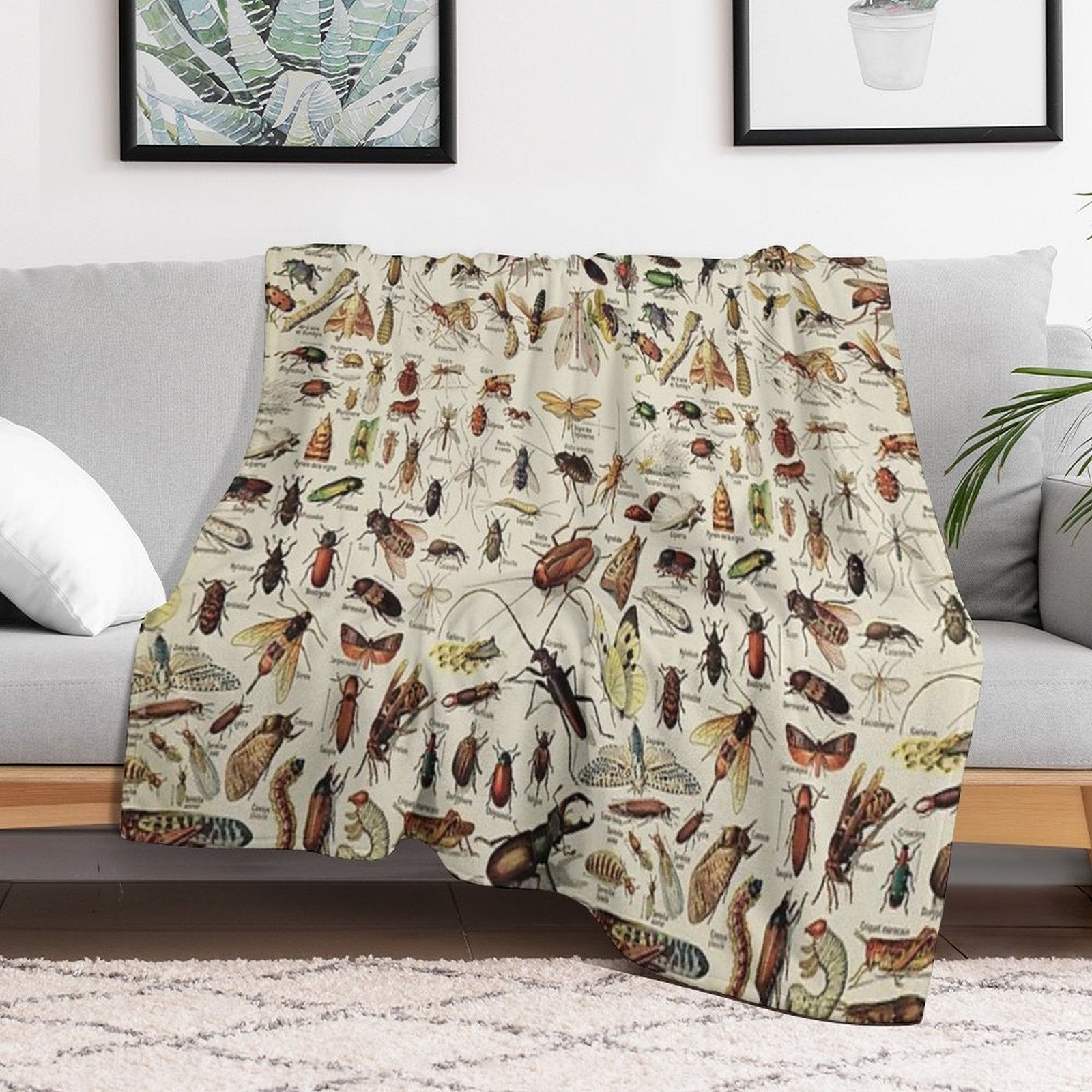 Insects Chart. Scientific Illustration, Text in French Eco-conscious Throw Blanket