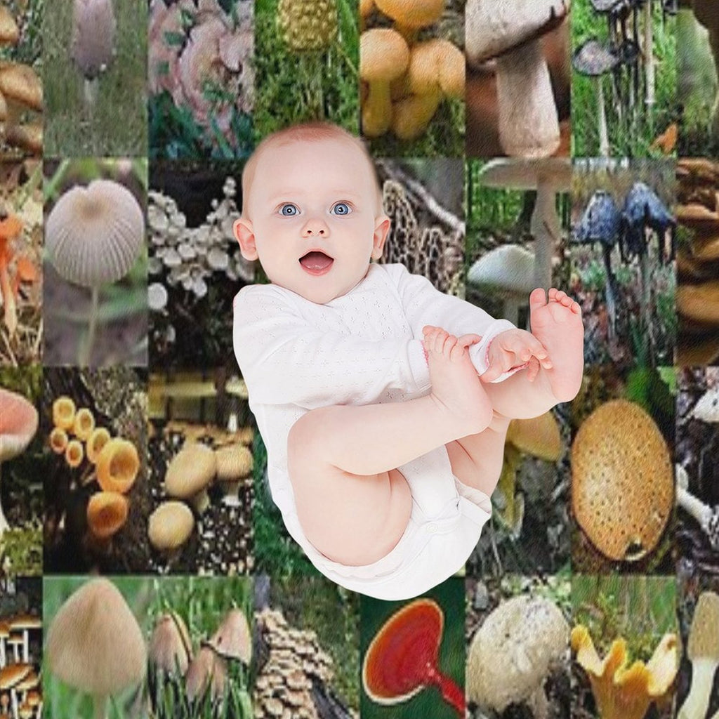 Mushrooms Premium Throw Blanket