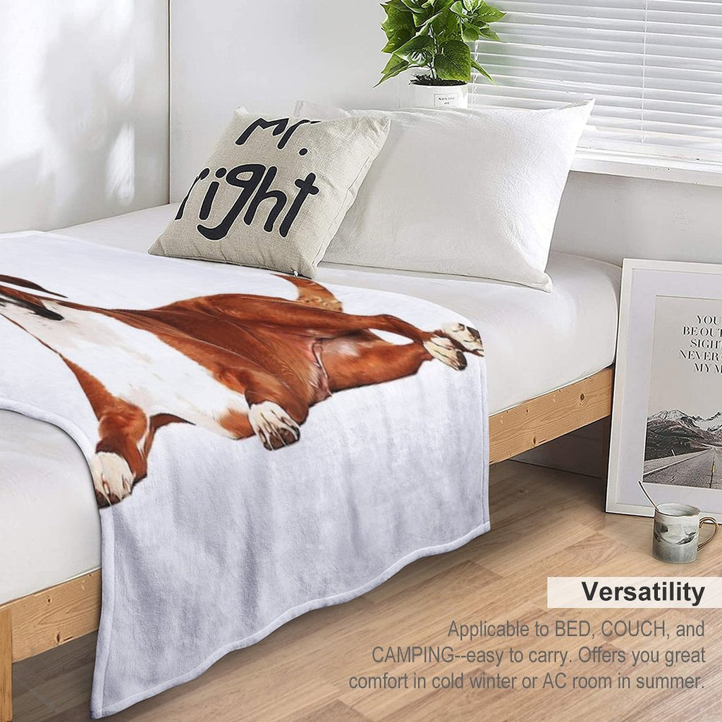 Adorable Boxer Dog Comfort Throw Blanket