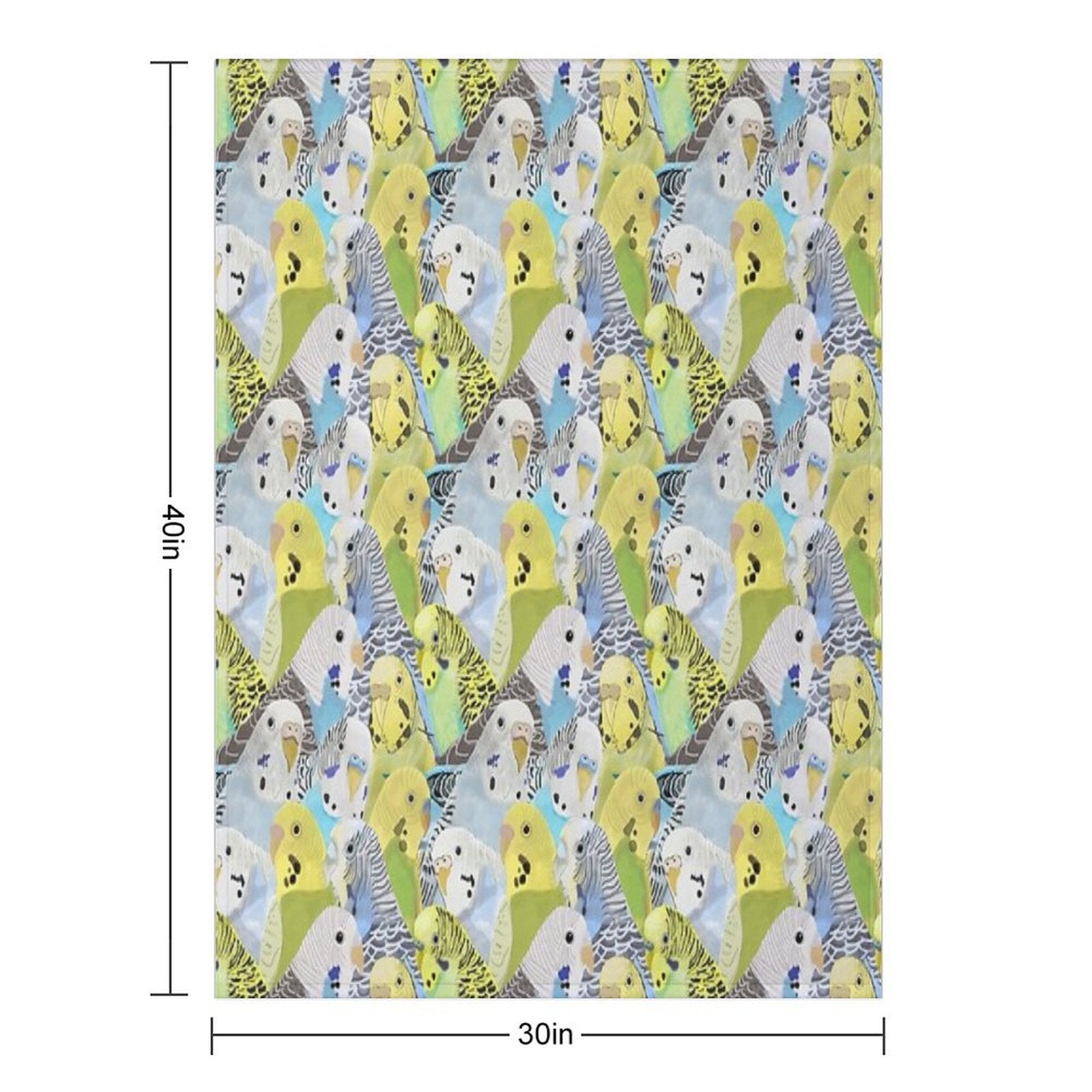 Budgie Parakeets Plush Throw Blanket