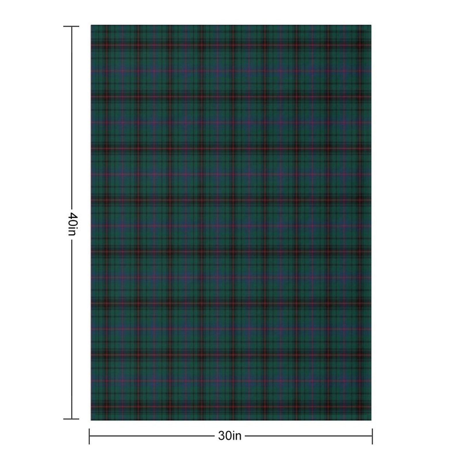 Clan Davidson Tartan Plush Throw Blanket