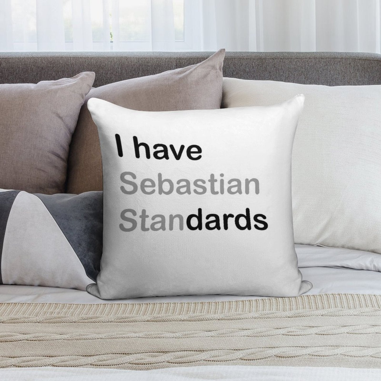I HAVE (sebastian) STANDARDS Soft Reinforced Edging Throw Pillow
