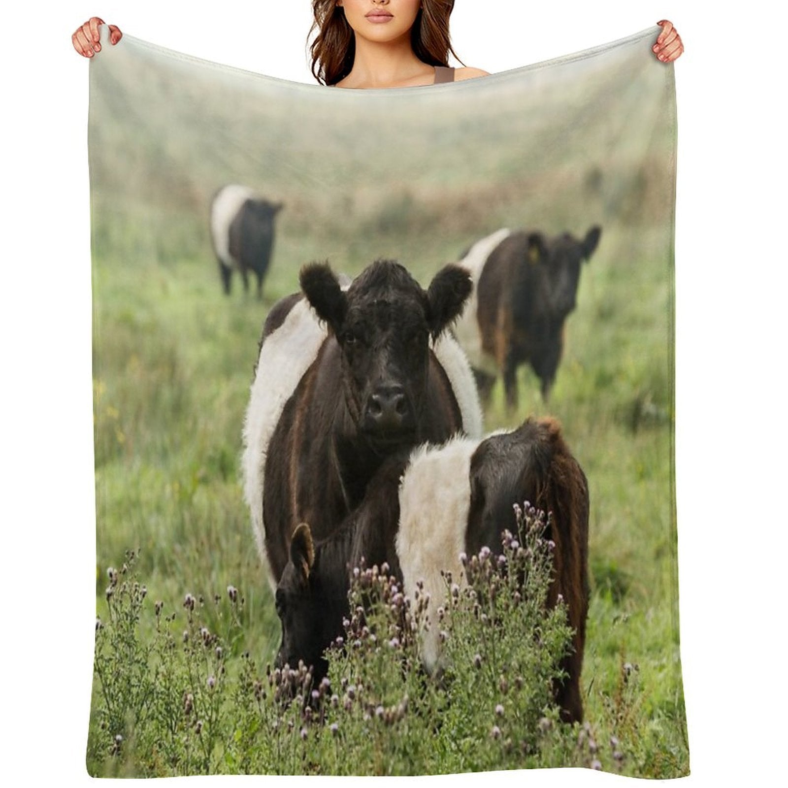 Belted Galloway Cows Quick-dry Throw Blanket