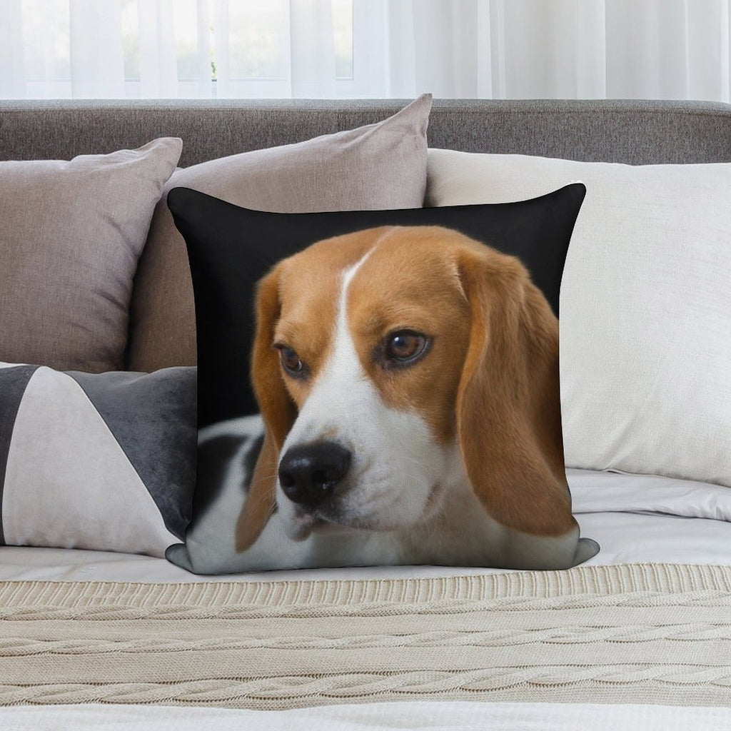 Beagle on The Black Soft Gift Ready Throw Pillow