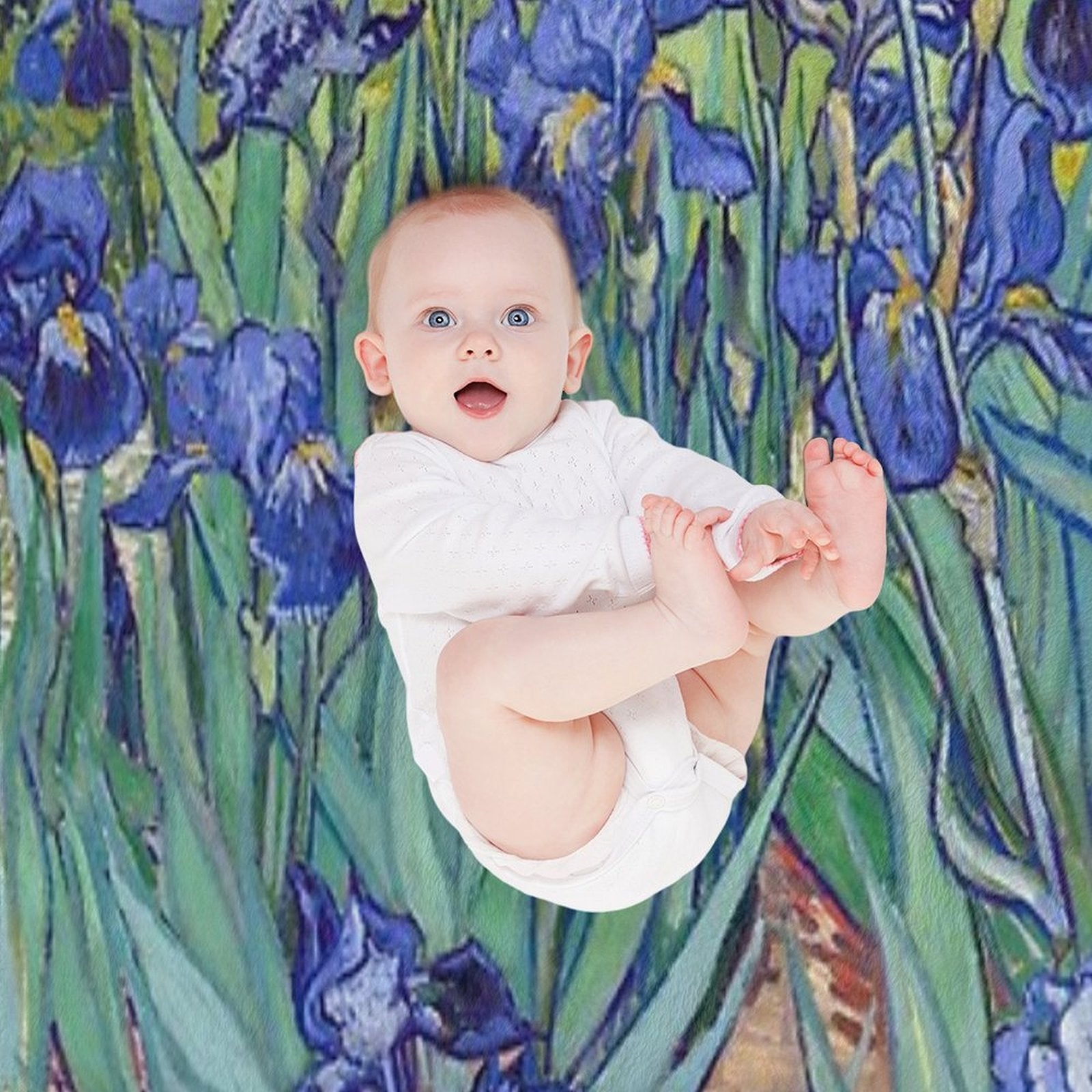 Van Gogh - Irises Anti-pilling Throw Blanket
