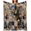 Cute Pets Pattern Compact Throw Blanket
