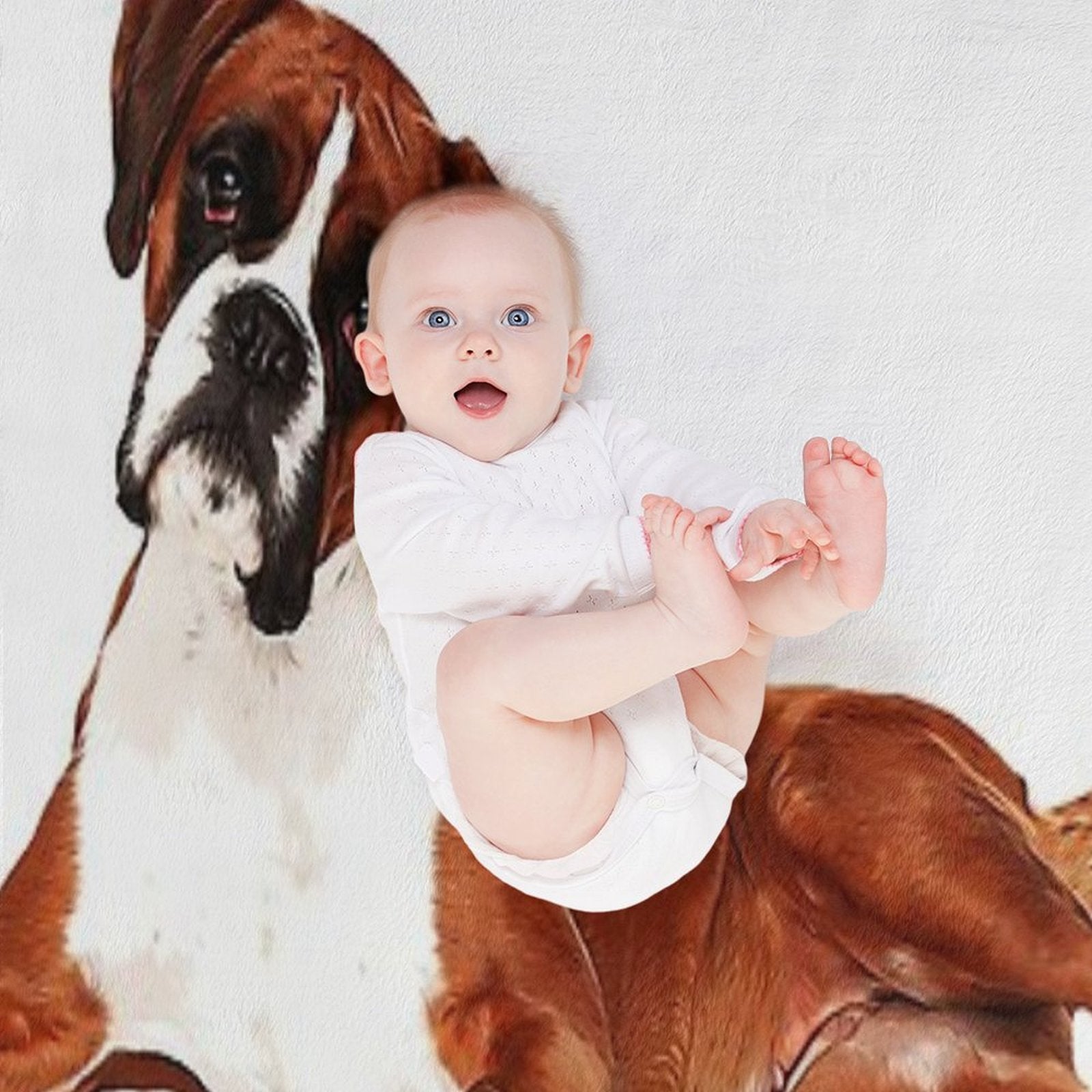 Adorable Boxer Dog Comfort Throw Blanket