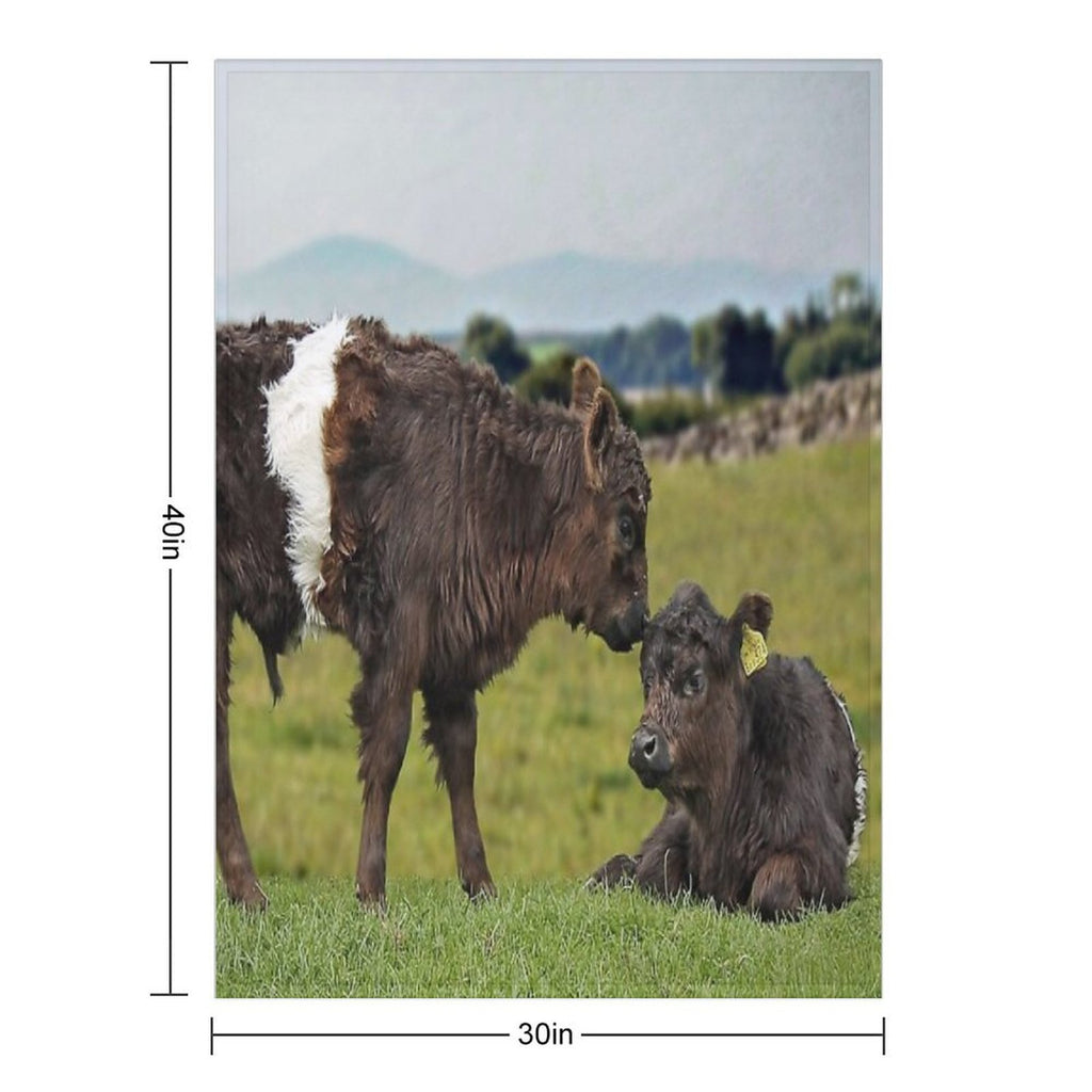 Belted Galloway Lightweight Throw Blanket