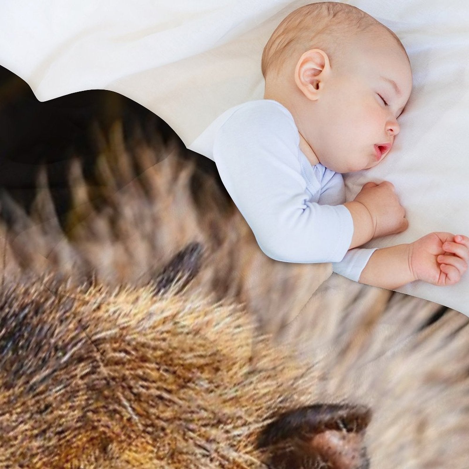 Capybara Profile Multi-functional Throw Blanket