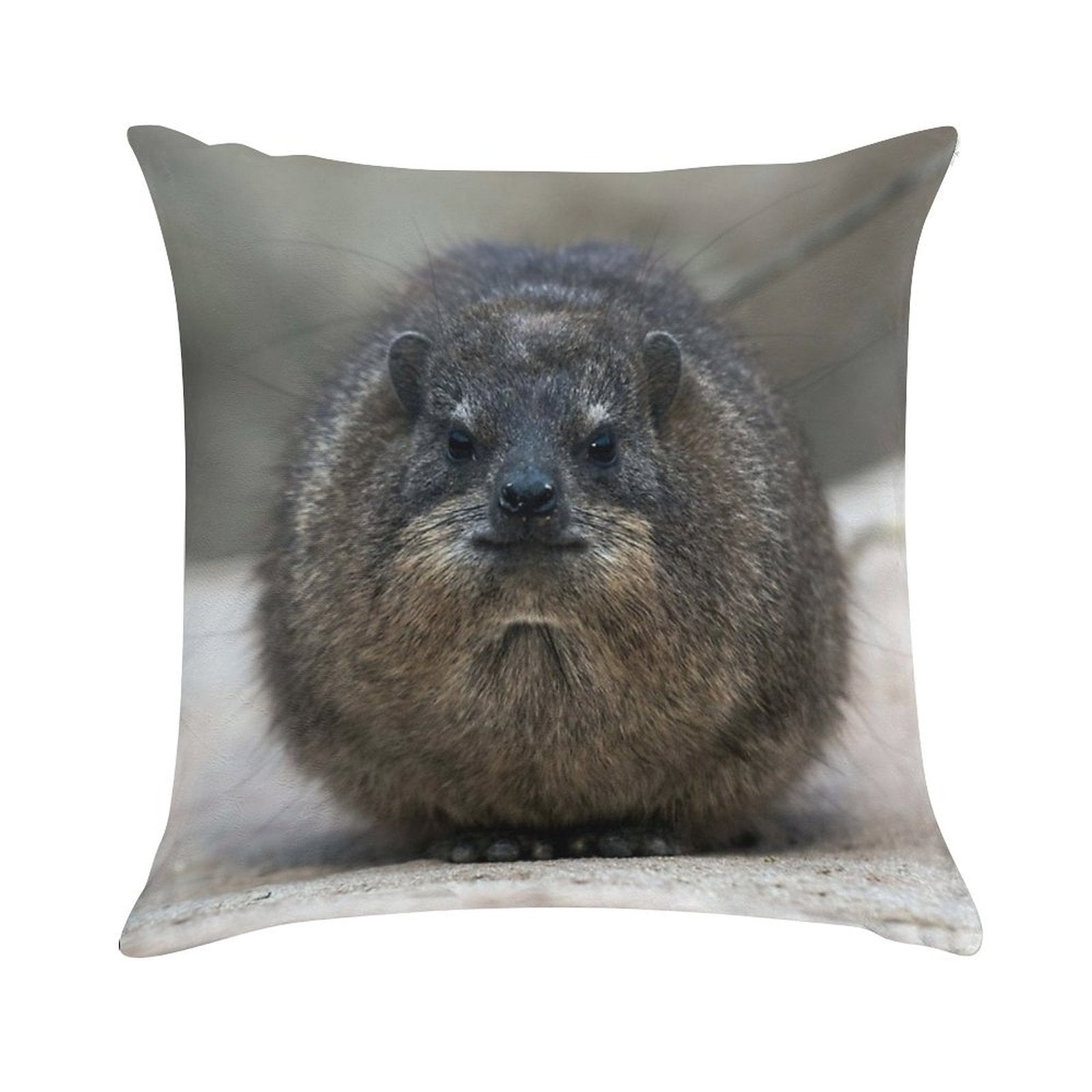 Rock Hyrax Soft Warmth Comfort Throw Pillow